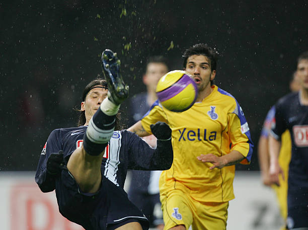 而森林狼借 而森林狼借